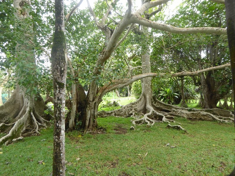 Mauritius 2017 523